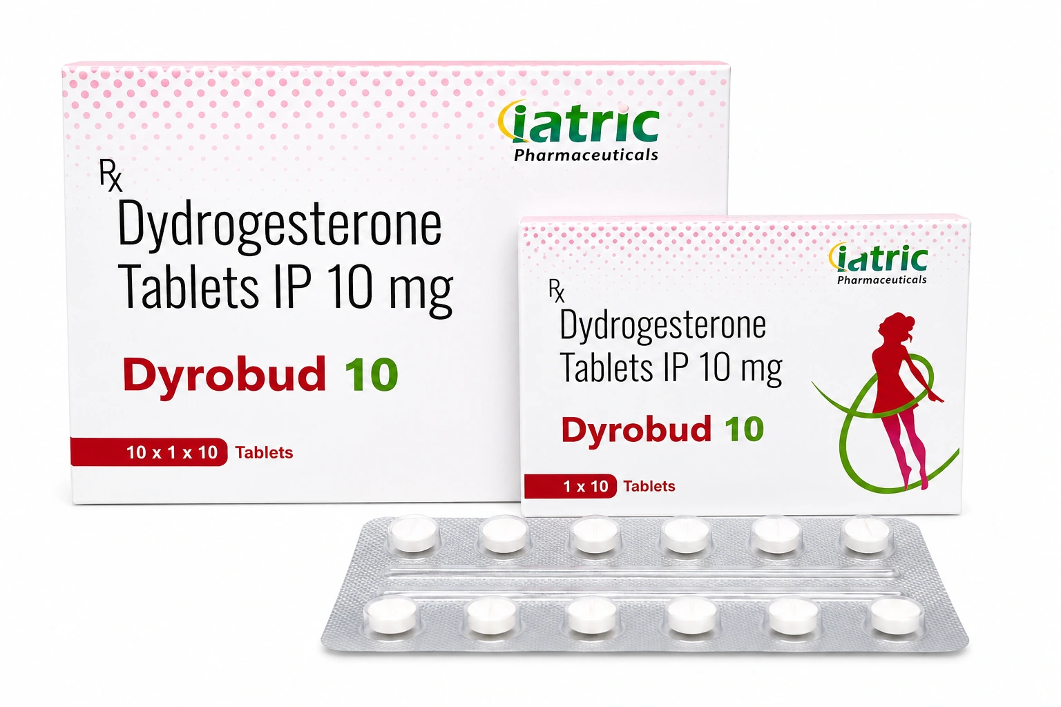 Dyrobud-10